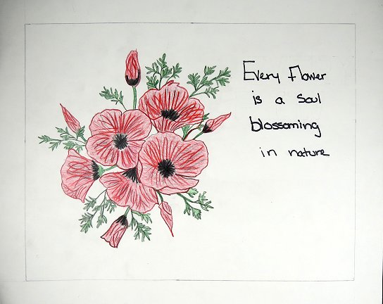 3rd place, High School Class poster by Tessa Manwarren
