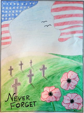 Jillian Finch's 2021 HS, winning poppy poster.